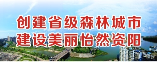 骚屄想被插视频创建省级森林城市 建设美丽怡然资阳